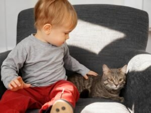 Little Boy with Cat on chair