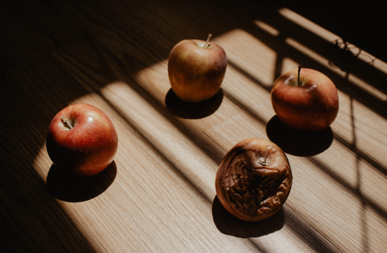 Rotten Apple Surrounded by Fresh Red Apples on a Wooden Surface