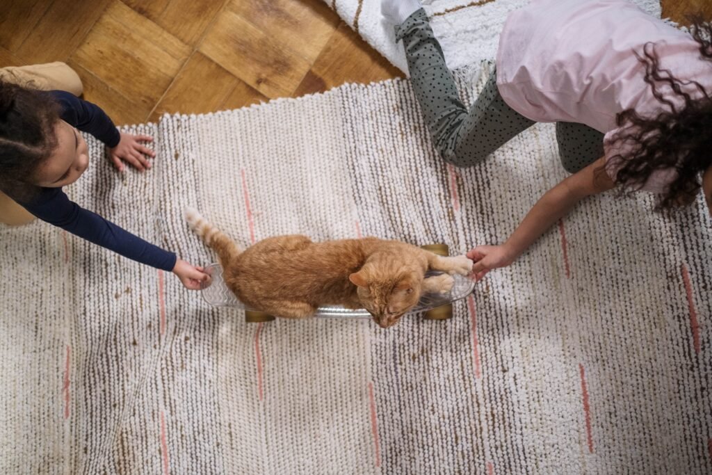 Ginger cat rides skateboard indoors, playfully pulled by two children.